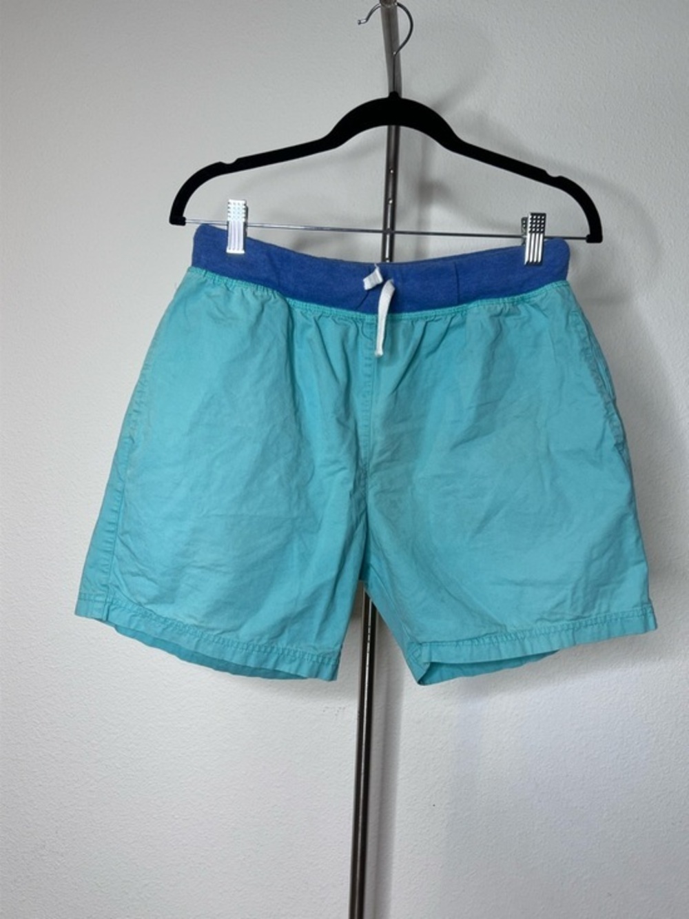 chubbies Turquoise Shorts